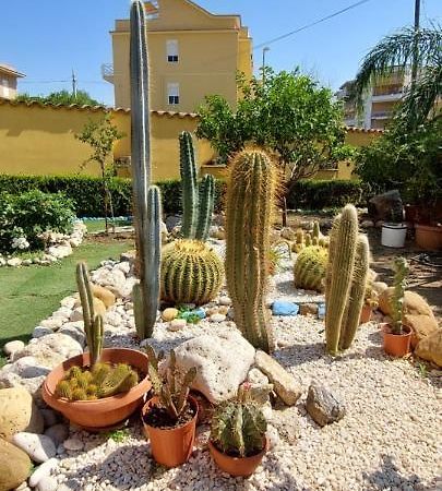 Appartement Il Giardino Di Piero à San Leone Extérieur photo